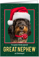 Merry Christmas Great Nephew Bernedoodle Dog in Santa Hat on Green card