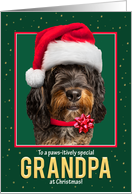 Merry Christmas Grandpa Bernedoodle Dog in Santa Hat on Green card