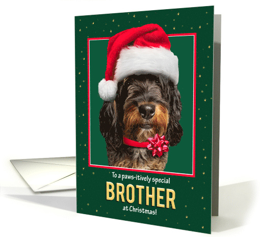 Merry Christmas Brother Bernedoodle Dog in Santa Hat on Green card
