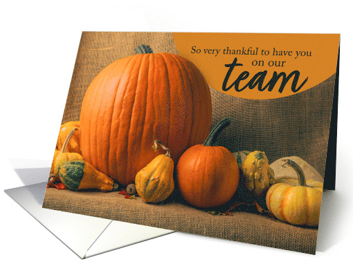 Happy Thanksgiving Business Thankful for Team Member Pumpkins card