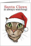 Merry Christmas For Anyone Funny Cat in Santa Hat Humor card
