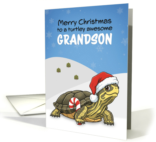 Merry Christmas Grandson Cute Turtle in Santa Hat Humor card (1956208)
