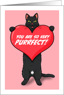 Happy Valentines Day For Anyone Cat Holding Heart Humor card