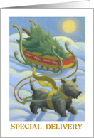 Holidays Christmas Scottish Terrier and Tree card