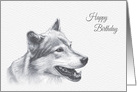 Birthday, Canadian Timber Wolf card