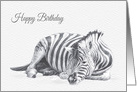 Birthday Featuring a Beautiful African Zebra Drawing card