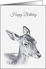 Birthday Featuring a Beautiful Roe Deer card