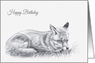 Birthday, Red Fox Drawing card