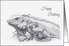 Birthday, Green Iguana Lizard Drawing card