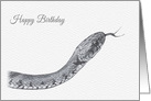 Birthday, Barred Grass Snake Drawing card