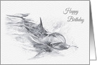 Birthday, Bottlenose Dolphin Drawing card