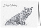 Birthday, Bob Cat Wild Animal Drawing card