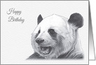 Birthday, Giant Panda Wild Animal Drawing card