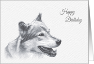 Birthday, Canadian Timber Wolf card