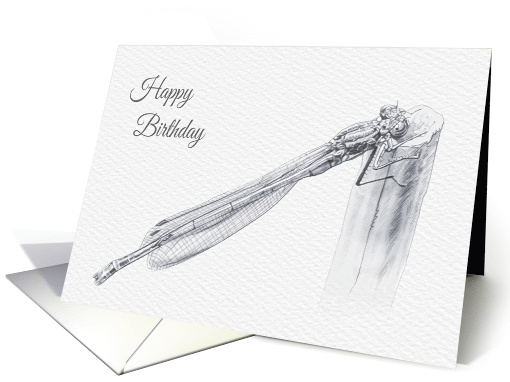 Birthday, Blue Damsel Fly Pencil Drawing card (1528210)