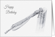 Birthday, Blue Damsel Fly Pencil Drawing card