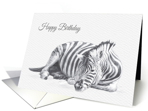 Birthday Featuring a Beautiful African Zebra Drawing card (1528216)