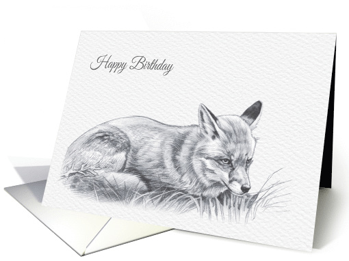Birthday, Red Fox Drawing card (1528222)