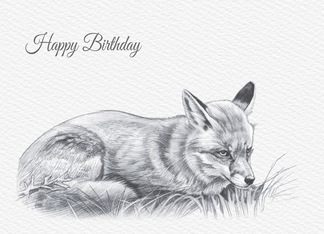 Birthday, Red Fox...
