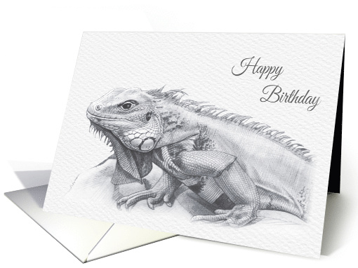 Birthday, Green Iguana Lizard Drawing card (1528398)