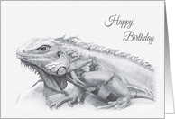 Birthday, Green Iguana Lizard Drawing card