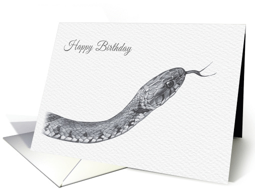 Birthday, Barred Grass Snake Drawing card (1528410)