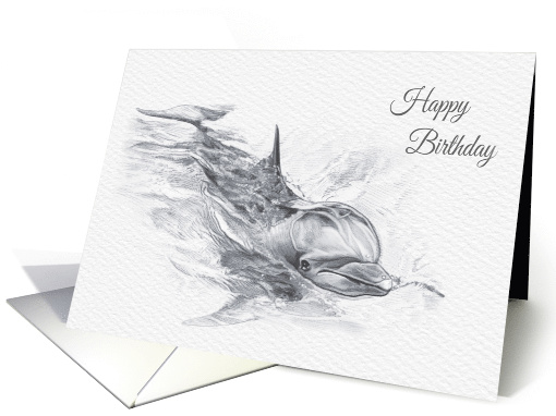 Birthday, Bottlenose Dolphin Drawing card (1528428)