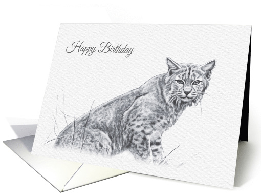 Birthday, Bob Cat Wild Animal Drawing card (1528878)