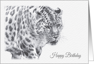 Birthday, Leopard Big Cat Wild Animal Drawing card