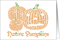 Native Pumpkins...
