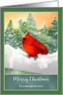 Custom Front Aunt Red Cardinal Bird in Snow Christmas card