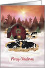 Dairy Farm Cows and Old Barn Merry Christmas card