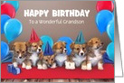 Custom Front Grandson Puppies in Party Hats Happy Birthday card