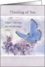 Butterfly and Lilacs Thinking of You COVID-19 Crisis card