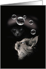 Cats with Floating Bubbles Blank Note card