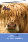 Humor Highland Cow Theme Hairstylist Miss You COVID-19 card