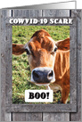 Cow Posing as COWVID 19 Scare COVID 19 Humor card