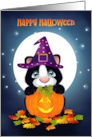 Kitty Cat and Jack O Lantern Happy Halloween card