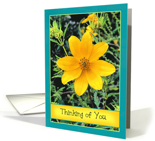 Yellow Wild Flower Thinking of You card (1540054)