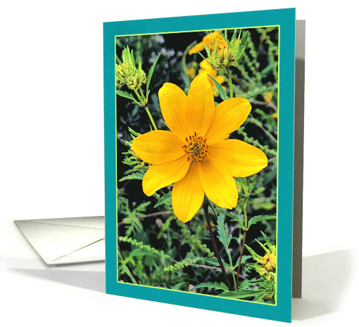 Yellow Wildflower Any Occasion Blank Note card (1540072)