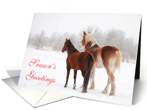 Horses in Snow Season's Greetings Christmas card (1540596)
