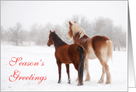 Horses in Snow Season’s Greetings Christmas card