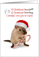 O Christmas Candy Mouse Humorous Christmas card