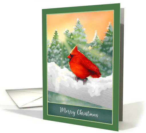 Winter Scene Red Cardinal Bird in Snow Christmas card (1548476)