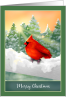 Winter Scene Red Cardinal Bird in Snow Christmas card