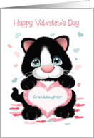 Granddaughter Custom Front Kitten With Polka Dot Heart Valentine card