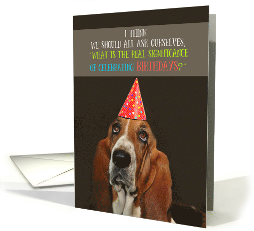 Dog Basset Hound Birthday Humor Happy Birthday card (1561092)