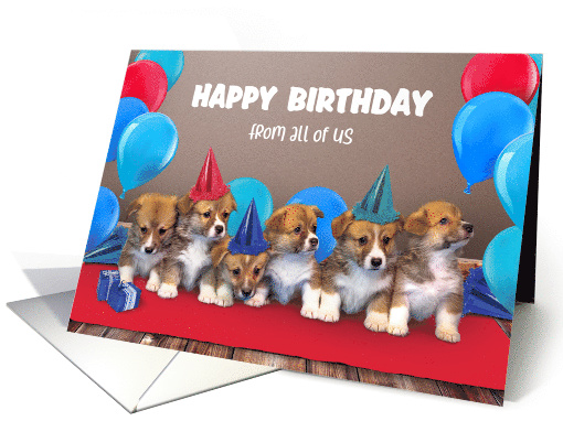 Puppies in Birthday Hats From All of Us Happy Birthday card (1562874)