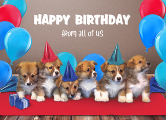 Puppies in Birthday...