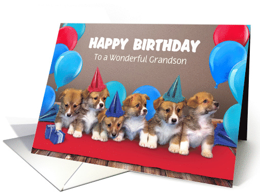 Custom Front Grandson Puppies in Party Hats Happy Birthday card